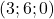 (3 ; 6 ; 0)
